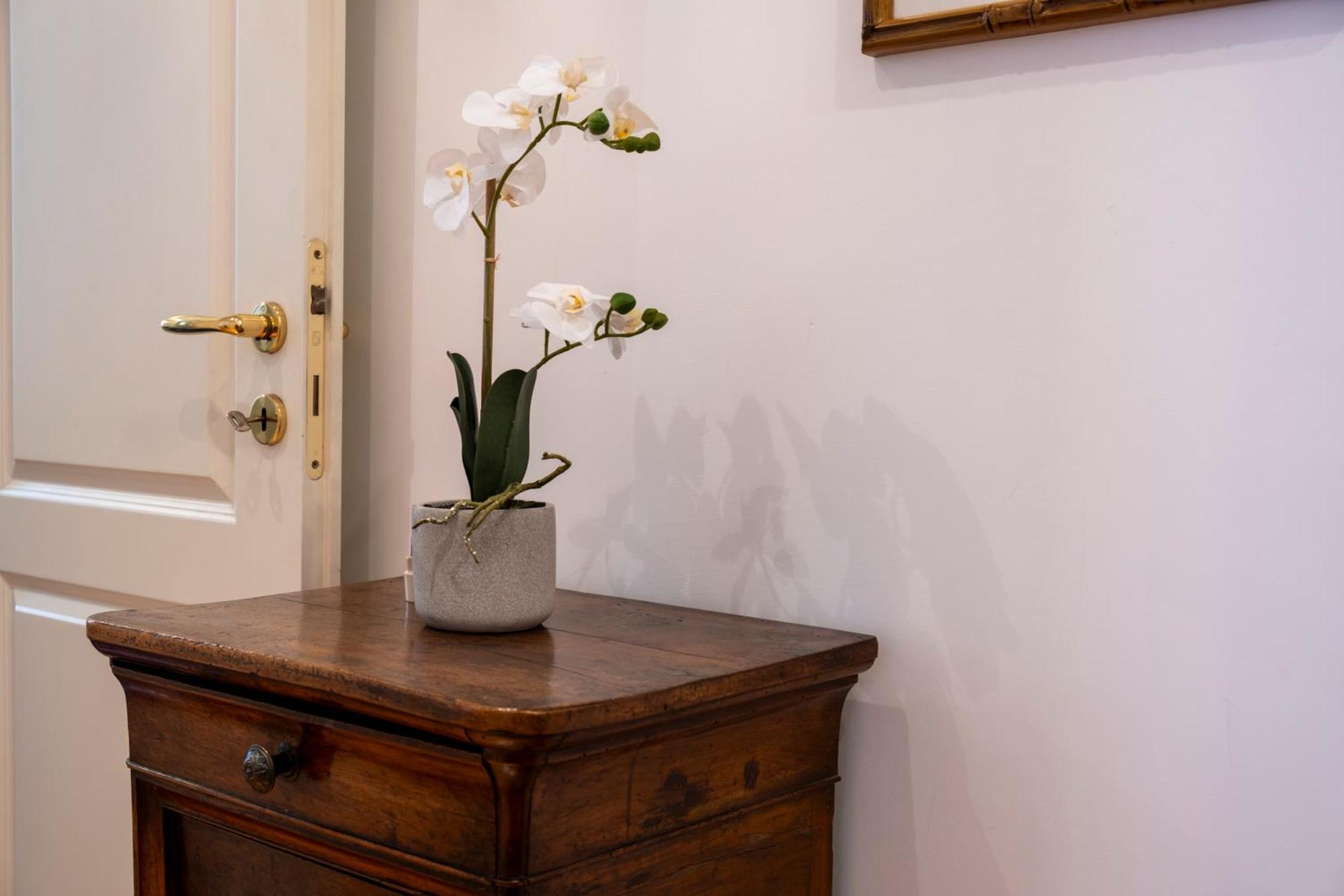 Appartement Elegantis Solinda - Easily Get To The Historic Center, Metro, Tram And Bus Are Nearby *